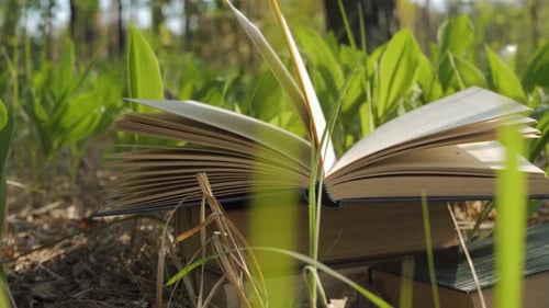 An Open Book Among Green Leaves with Lily of the Valley in the Sunlight