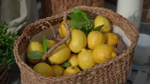 Freshly Harvested Lemons Arranged Beautifully in a Rustic Charming Basket Display