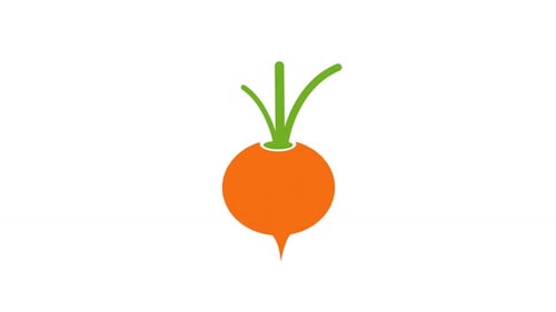 Flat Design Root Vegetable Icon Scaling Animation