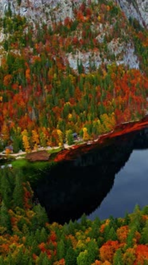 River Curving Through Bright Autumn Forest Aerial