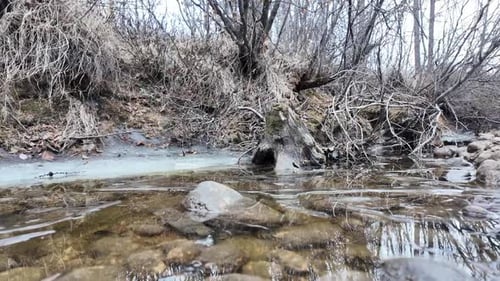 A stream in early spring flows through stones in a gray forest