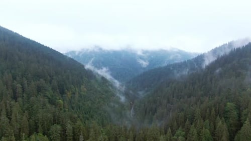 Green Forest on Mountain Hills with White Fog Clouds on Overcast Morning Wide Shot Aerial View