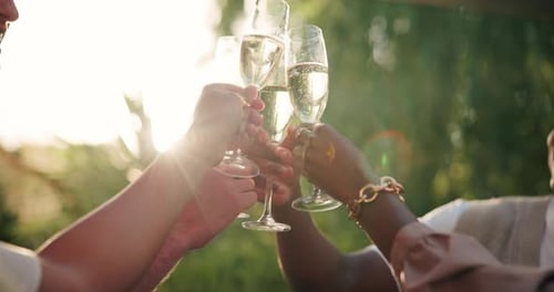 People Toasting Champagne at Outdoor Celebration