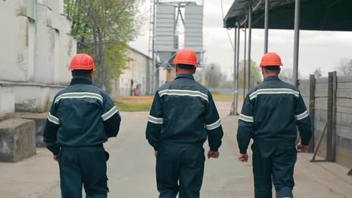 Ingenieure laufen durch das Gebiet und kommunizieren speziell mit den Mitarbeitern des Unternehmens in der Rückansicht