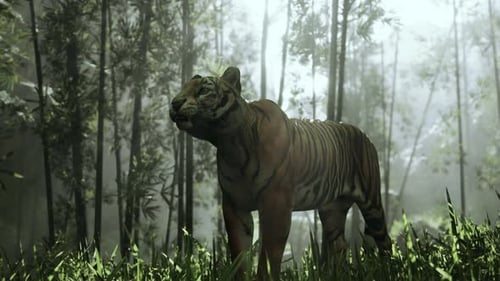 Colossal Bengal Tiger Stalks Its Prey in a Bamboo Grove Basking in the Sunbeams