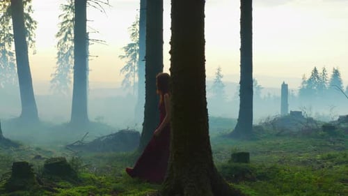A woman explores a mystical forest in solitude