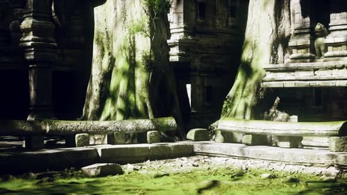 Ruines d'anciens temples au Cambodge entourées d'une végétation luxuriante et de racines