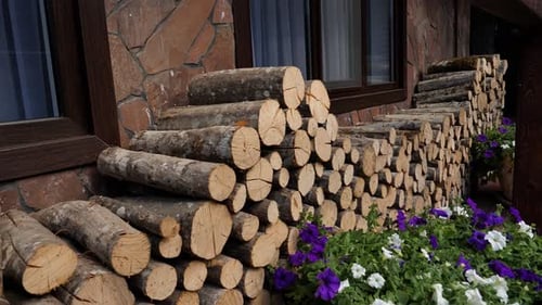Beaucoup de bois sec haché avec de la mousse près du mur de pierre
