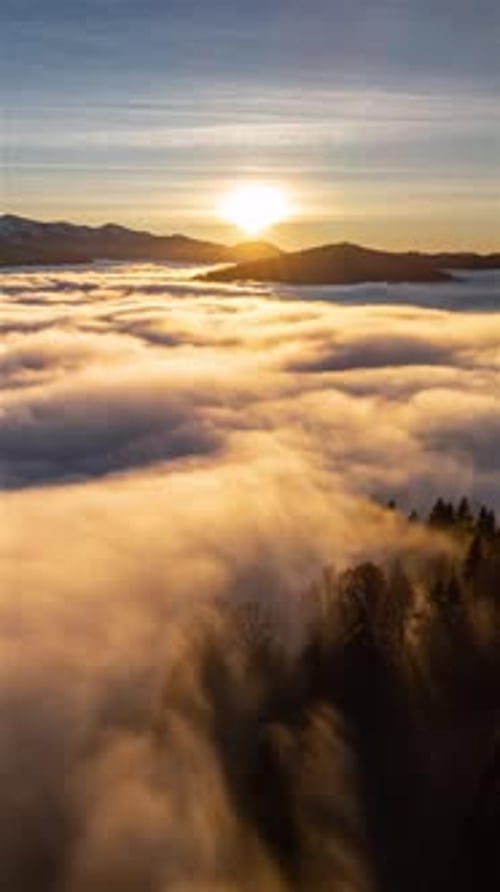 Foggy Clouds Waves Over Forest Landscape at Sunset