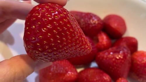 Close Up of Ripe Red Strawberries