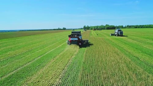 Aerial of Combines Working in the Field Harvesting Crops Gathering Season