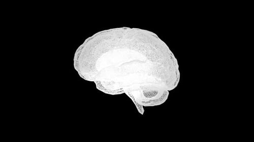 Leuchtend blaue digitale Gehirnimlustration, die neuronale Verbindungen darstellt