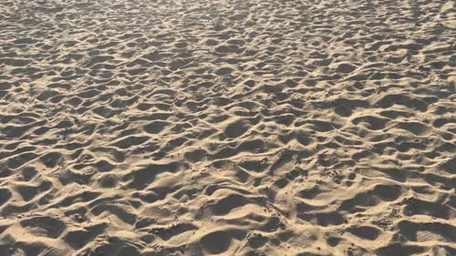 Walking On The Sand On The Beach