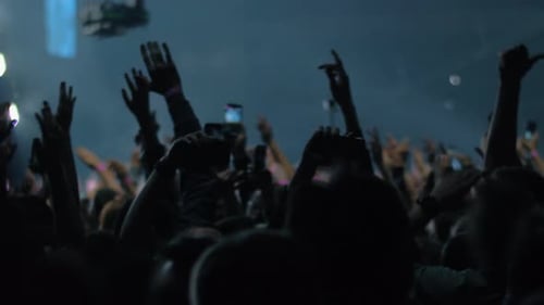 Excited Crowd Raising Hands at Music Concert