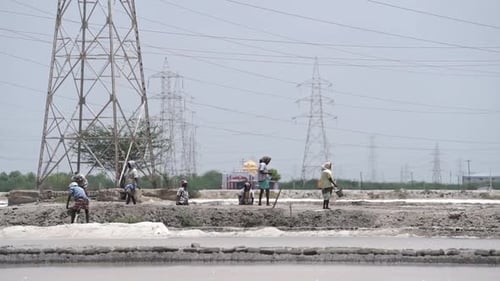Workers Digging Salt at Open Rural Farm