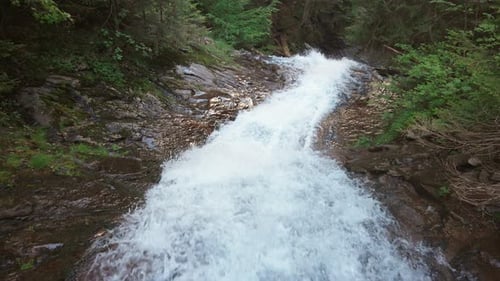 Bach im Dickicht des Waldes mit Fichten und felsigen Hängen