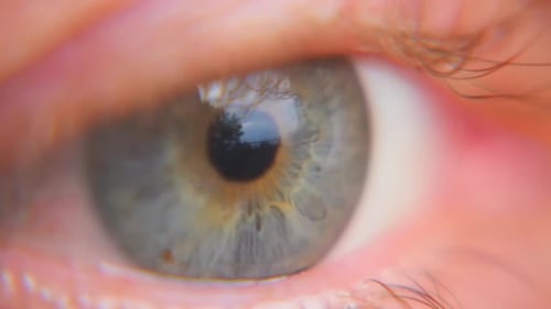 Close up of a blue flecked orange caucasian eye with natural eyelashes and small pupils.