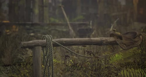 Rustic Landscape with Rope and Hat at an Old Forest Clearing During Twilight