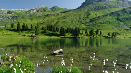 Green Clear Lake in Switzerland on Sunny Day
