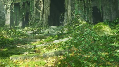 Nature Reclaiming Stones Leading Into Mysterious Ancient Temple