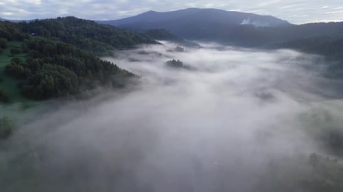 Aerial View of a Winding River of Fog Filling a Green Mountain Valley