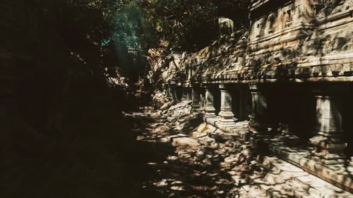 Cinematic Camera Moving Through Ancient Jungle Temple Ruins