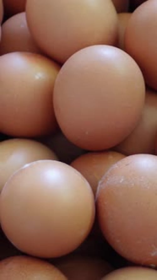 Vídeo vertical de huevos