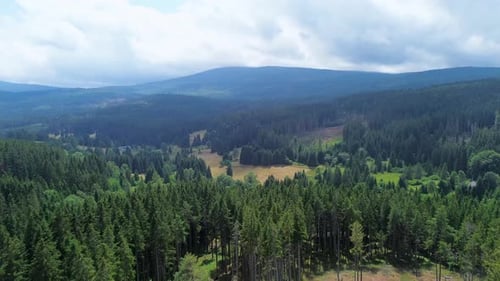 cinematic view from a drone flying over a vast green forest in the mountains