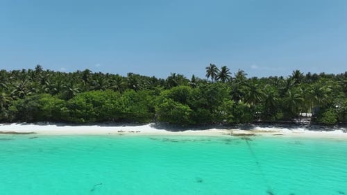 Aerial view of tropical beach and trees, Maldives.