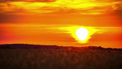 beautiful sunset over the horizon in timelapse.Golden sky with clouds over the green grasslands at s