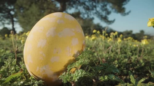 Easter egg painted in yellow and white dots lies on the green grass next to yellow flowers.Dolly