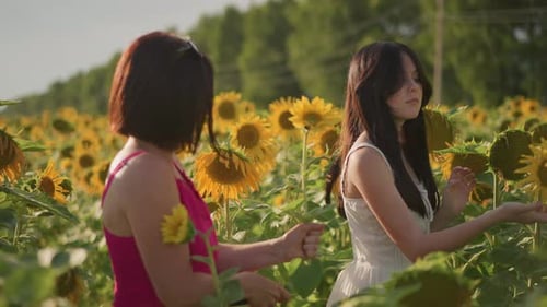 Sunny Field Exchange Friends in Radiant Countryside Daughterly Friends Sharing Blossoms at Sunset