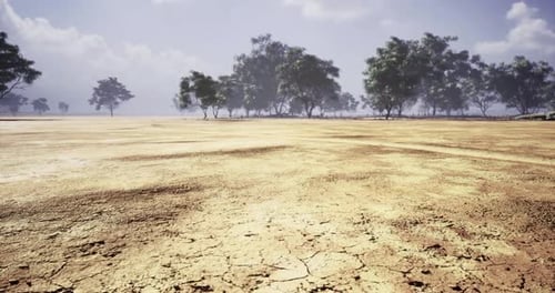Arid Dry Earth Landscape with Scattered Trees Motion Background