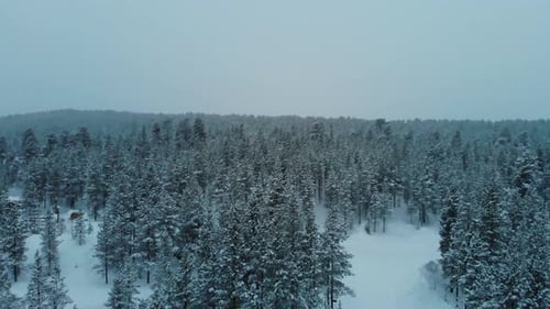 Winter Landscape With Snow-covered Trees In The Forest At Inari, Lapland, Finland - aerial pullback
