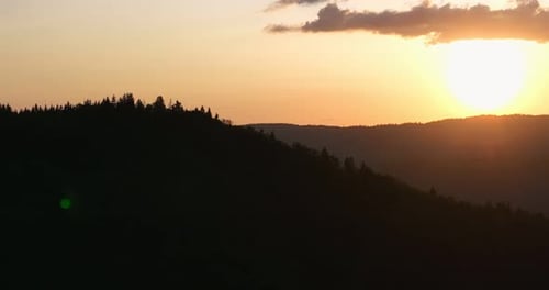 Malerische Waldsilhouette bei Sonnenuntergang mit glühender Sonne am Horizont, warmem orangefarbenem Himmel und hoher Kiefer