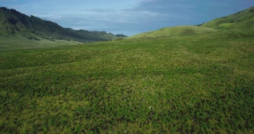 Aerial Drone Footage of Green Hills in Bromo with Scenic Mountain Landscape