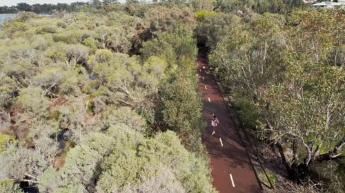 Woman Jogging on Path Through Green Trees