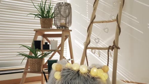 Cozy Home Interior Design With Plants and Ladder