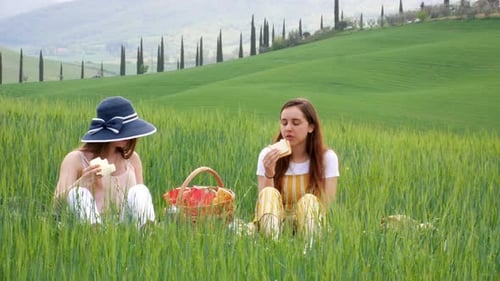 Two Young Women Relaxing on a Green Field Having a