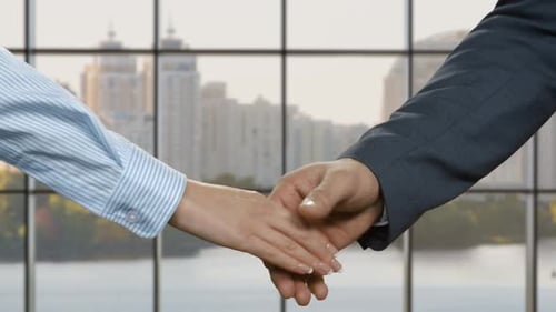 Businessman and Woman Office Handshake