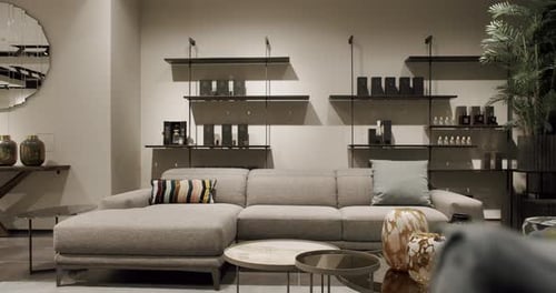 Modern Living Room With Stylish Sofa and Shelves