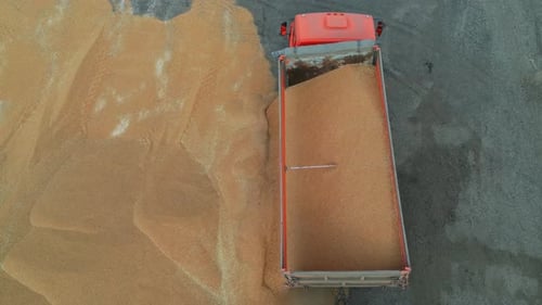Aerial view of tuck trailer unloading grain at agricultural storage.