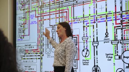 Woman Explaining Complex Diagram in an Office Setting