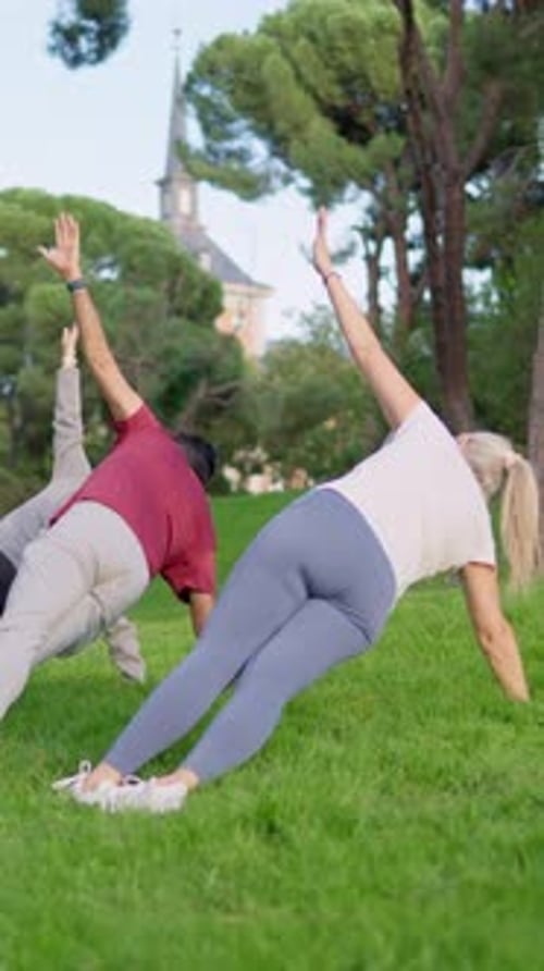 Adults practicing yoga together in the park