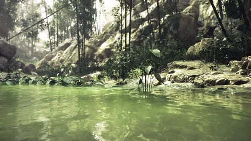 Immersive Outdoor Setting Showcasing Thriving Plant Life and Flowing Water