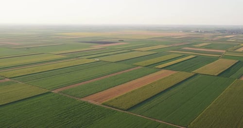 Agricultural Fields Aerial View in Daytime