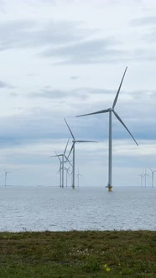 A Beautiful Scenic Coastal Wind Farm Surrounded By Lush Greenery and Vibrant Colorful Flowers Blooms