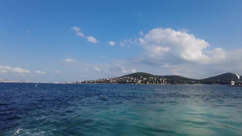 Seagulls Flying Behind the Ferry Cruising Bosphorus in Istanbul Turkey in Slow Motion