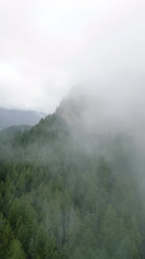 Aerial View of Beautiful Mountain Landscape Fog Rises Over the Mountain Slopes