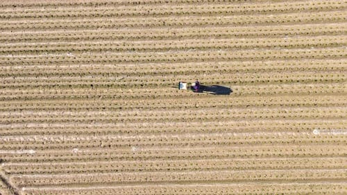 Drone Aerial View of Farmers Fertilizing Newly Planted Vegetable Fields in Rural Farmland